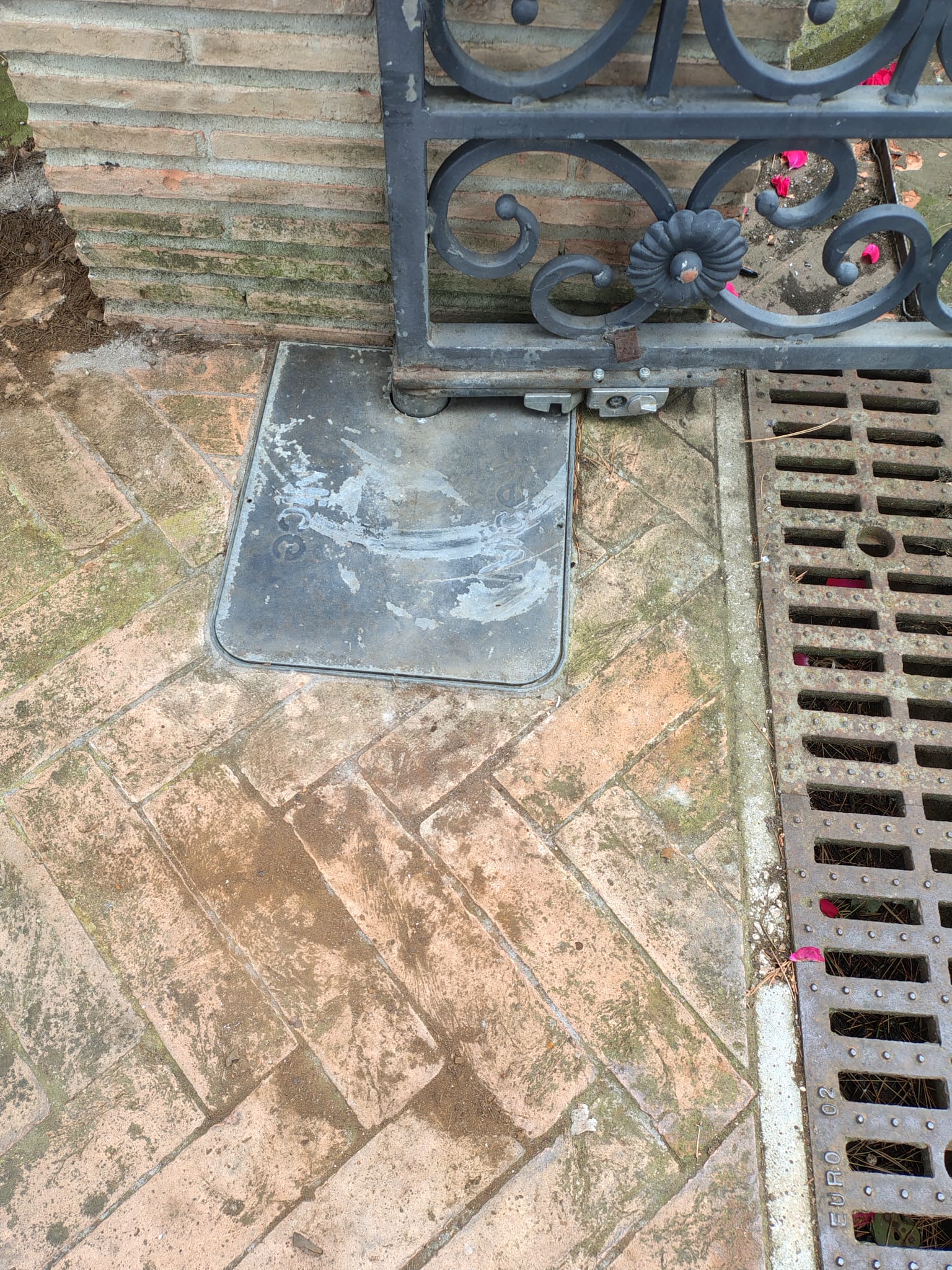 WhatsApp-Image-2025-06-20-at-12.24.48-1